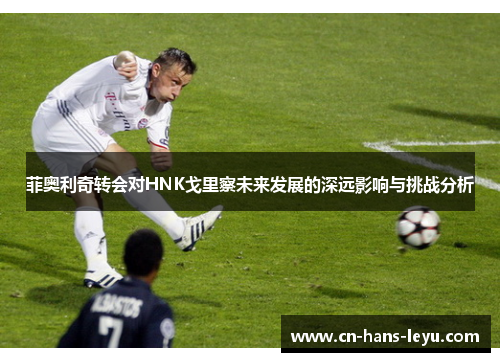 菲奥利奇转会对HNK戈里察未来发展的深远影响与挑战分析