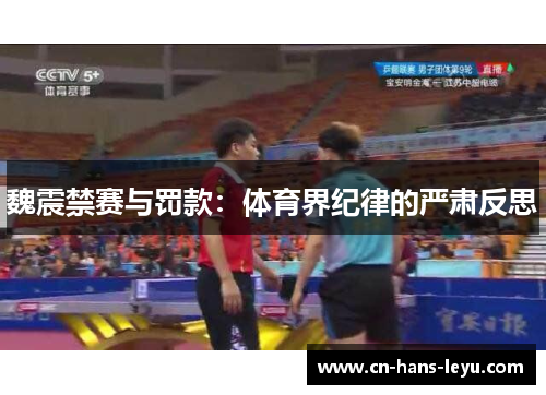 魏震禁赛与罚款：体育界纪律的严肃反思