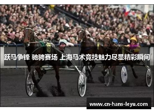 跃马争锋 驰骋赛场 上海马术竞技魅力尽显精彩瞬间